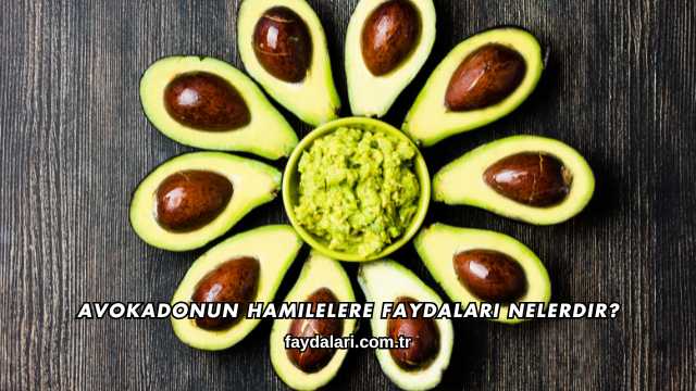 Avokadonun Hamilelere Faydaları Nelerdir?