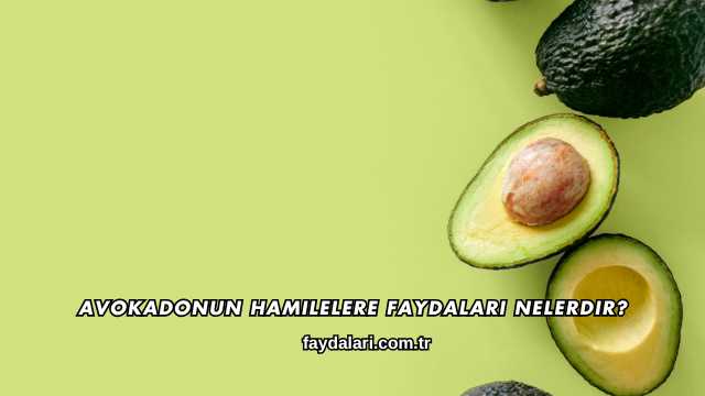 Avokadonun Hamilelere Faydaları Nelerdir?