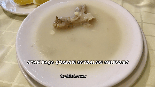 Ayak Paça Çorbası Faydaları Nelerdir?