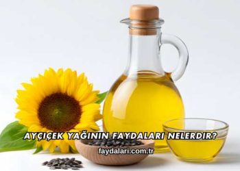 Ayçiçek Yağının Faydaları Nelerdir?