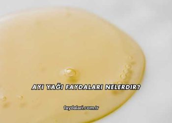 Ayı Yağı Faydaları Nelerdir?