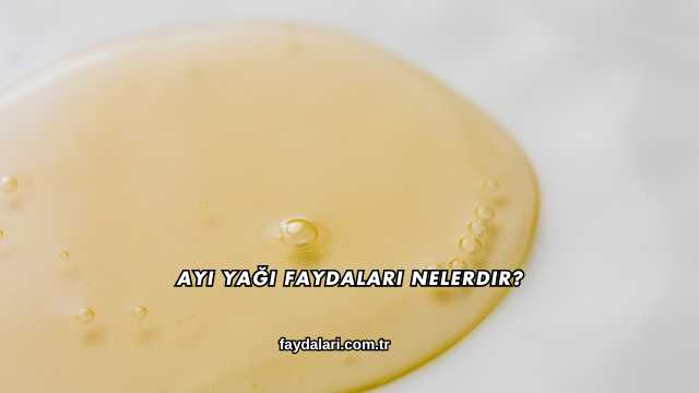 Ayı Yağı Faydaları Nelerdir?