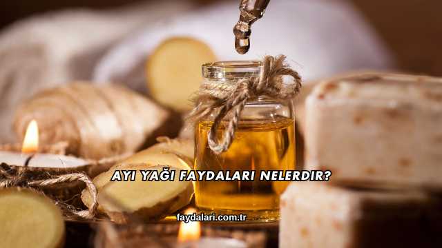 Ayı Yağı Faydaları Nelerdir?