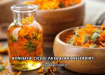 Aynısefa Çiçeği Faydaları Nelerdir?