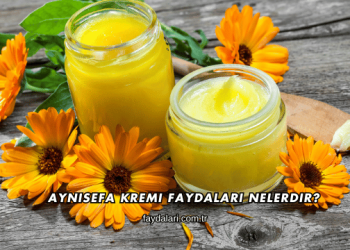 Aynısefa Kremi Faydaları Nelerdir?