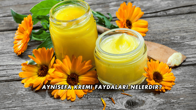 Aynısefa Kremi Faydaları Nelerdir?