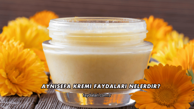 Aynısefa Kremi Faydaları Nelerdir?