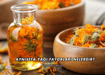 Aynısefa Yağı Faydaları Nelerdir?