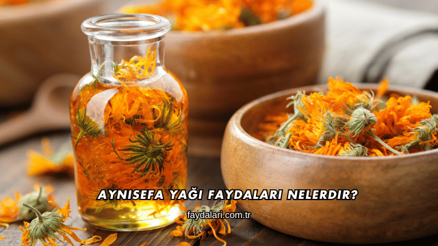 Aynısefa Yağı Faydaları Nelerdir?