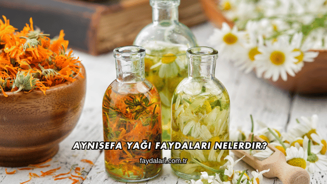 Aynısefa Yağı Faydaları Nelerdir?