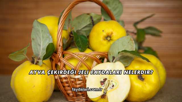 Ayva Çekirdeği Jeli Faydaları Nelerdir?