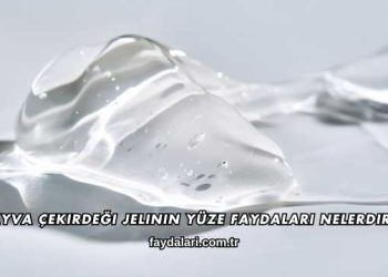 Ayva Çekirdeği Jelinin Yüze Faydaları Nelerdir?