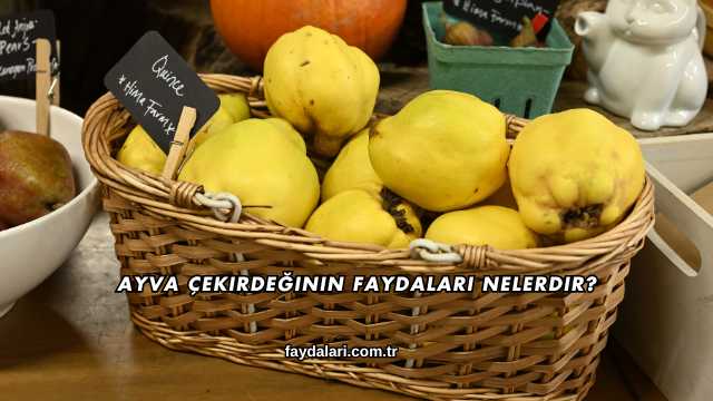 Ayva Çekirdeğinin Faydaları Nelerdir?