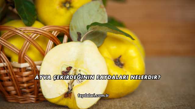 Ayva Çekirdeğinin Faydaları Nelerdir?