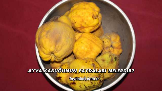 Ayva Kabuğunun Faydaları Nelerdir?