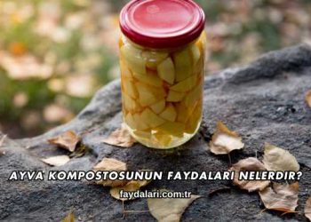 Ayva Kompostosunun Faydaları Nelerdir?