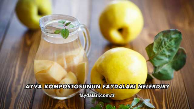 Ayva Kompostosunun Faydaları Nelerdir?