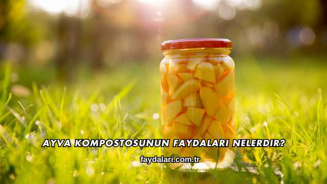 Ayva Kompostosunun Faydaları Nelerdir?