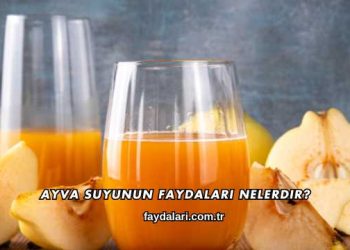 Ayva Suyunun Faydaları Nelerdir?