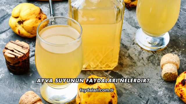 Ayva Suyunun Faydaları Nelerdir?