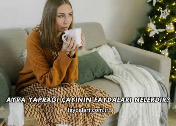 Ayva Yaprağı Çayının Faydaları Nelerdir?