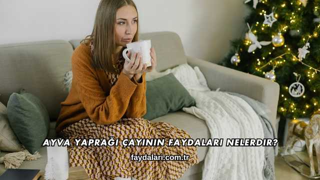 Ayva Yaprağı Çayının Faydaları Nelerdir?