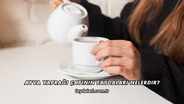 Ayva Yaprağı Çayının Faydaları Nelerdir?