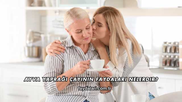 Ayva Yaprağı Çayının Faydaları Nelerdir?
