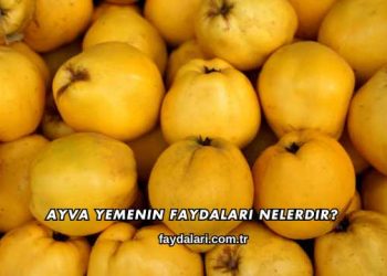 Ayva Yemenin Faydaları Nelerdir?