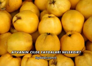 Ayvanın Cilde Faydaları Nelerdir?
