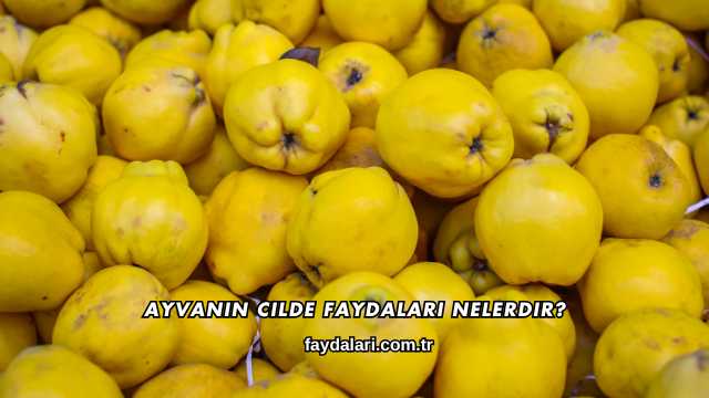 Ayvanın Cilde Faydaları Nelerdir?