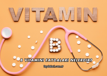 B Vitamini Faydaları Nelerdir?