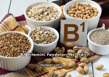 B1 Vitamini Faydaları Nelerdir?