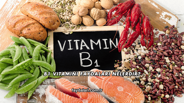 B1 Vitamini Faydaları Nelerdir?