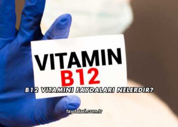 B12 Vitamini Faydaları Nelerdir?