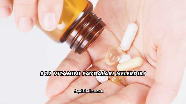 B12 Vitamini Faydaları Nelerdir?