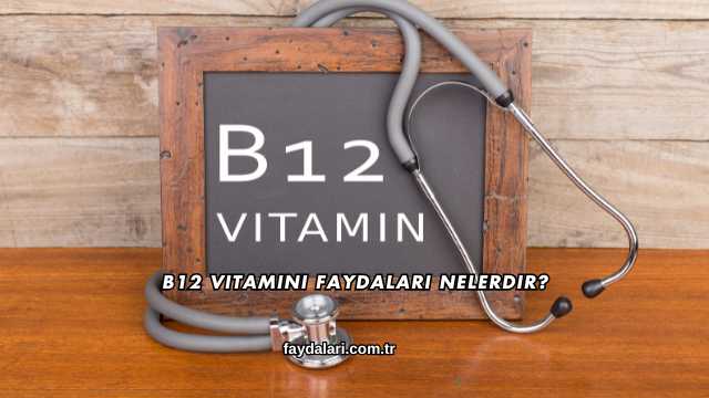 B12 Vitamini Faydaları Nelerdir?