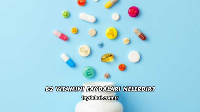 B2 Vitamini Faydaları Nelerdir?