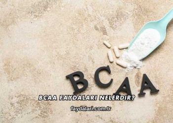 BCAA Faydaları Nelerdir?