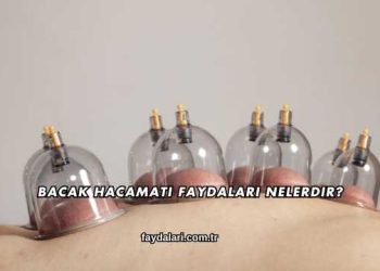 Bacak Hacamatı Faydaları Nelerdir?