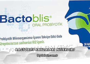 Bactoblis Faydaları Nelerdir?