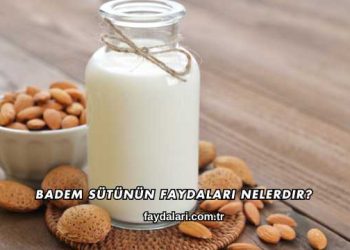 Badem Sütünün Faydaları Nelerdir?