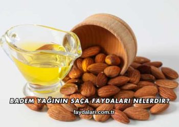 Badem Yağının Saça Faydaları Nelerdir?