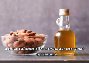 Badem Yağının Yüze Faydaları Nelerdir?