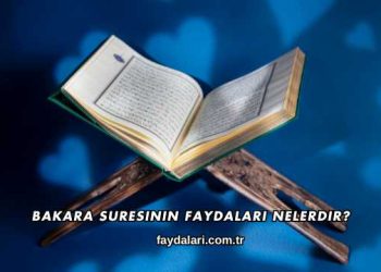 Bakara Suresinin Faydaları Nelerdir?