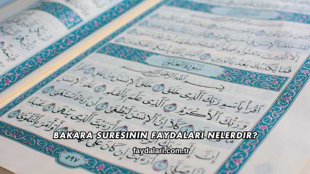 Bakara Suresinin Faydaları Nelerdir?
