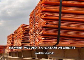 Bakırın Vücuda Faydaları Nelerdir?