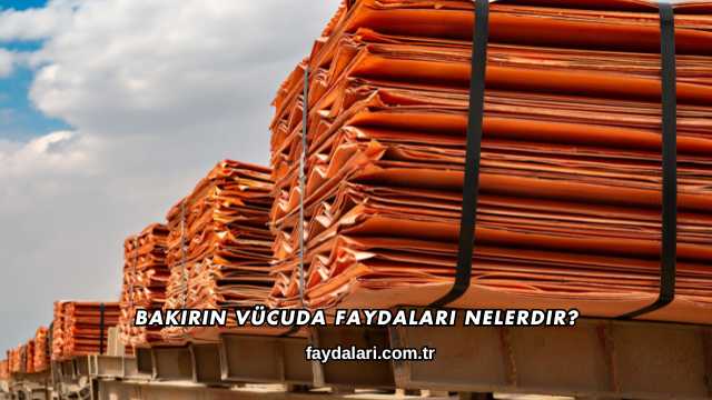 Bakırın Vücuda Faydaları Nelerdir?