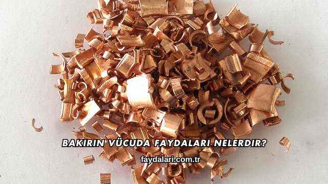 Bakırın Vücuda Faydaları Nelerdir?