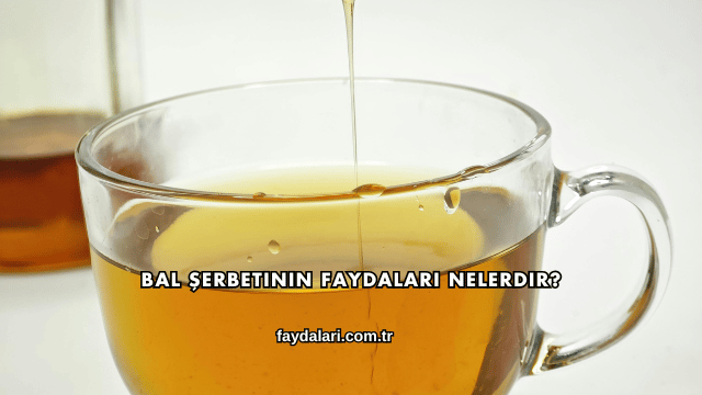 Bal Şerbetinin Faydaları Nelerdir?